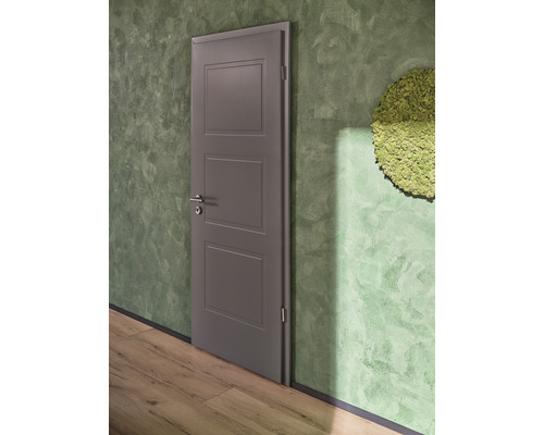 Graue Innentür mit drei Füllungen vor einer grünen Wand