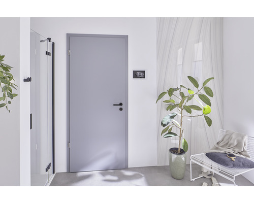 Hellele Inneneinrichtung mit Innentür, Garderobe und Zimmerpflanze