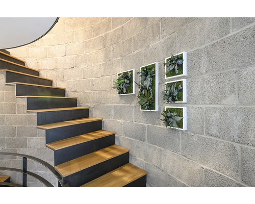 Treppe mit Wanddekoration aus Kunstpflanzen in Rahmen