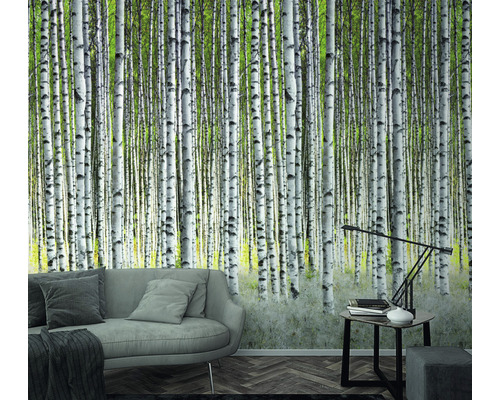 Wohnraum mit Fototapete mit Birkenwald-Motiv