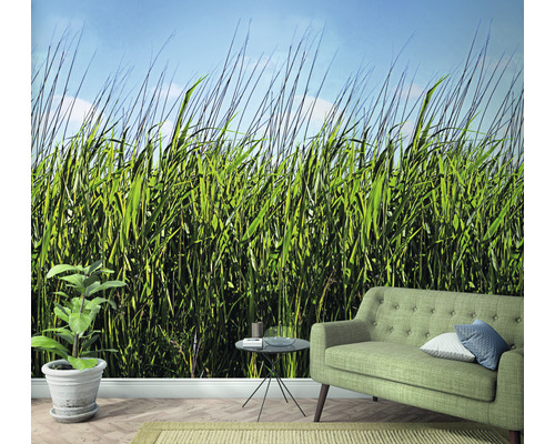 Wohnzimmer mit Fototapete mit Grasmotiv, Sofa und Zimmerpflanze