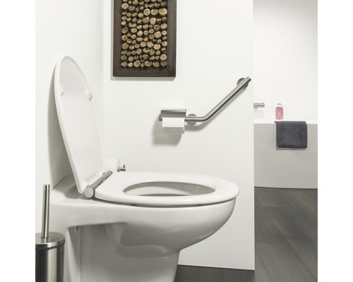 Badezimmer mit Toilette, Toilettenpapierhalter mit Haltegriff und Dekoration