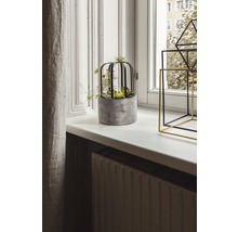 Fensterbank weiß 4100x200x20mm mit Blende 40 mm (Zuschnitt online reservierbar)-thumb-3