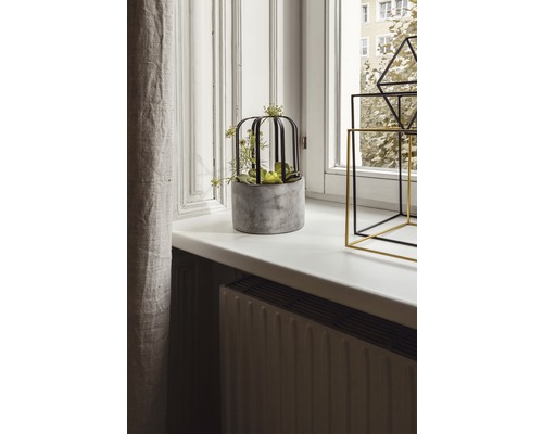 Dekorative Pflanze in einem Zementtopf mit Käfig auf einer Fensterbank