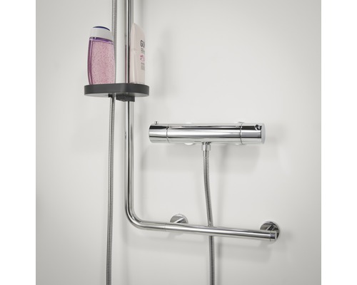 Brausestange mit Duscharmatur und Ablage im Badezimmer