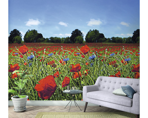 Tapete mit Mohnblumenfeldmotiv in einem Raum mit Sofa