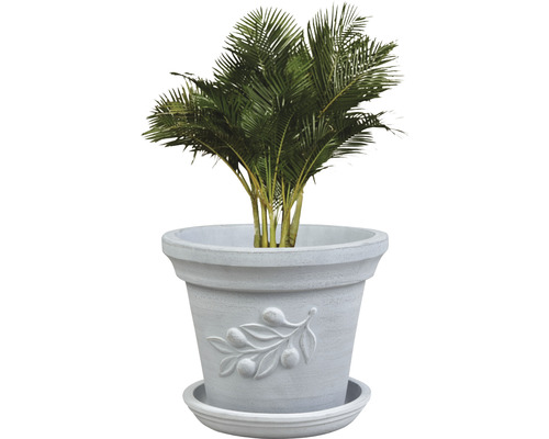 Palme im Topf mit Olivenzweigdesign