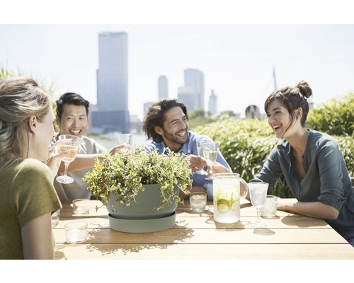 Szene mit Menschen an einem Tisch mit Getränken und einem Topf mit Blumen