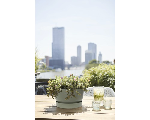 Szene mit Topfpflanze, Getränkekrug und Gläsern auf einem Holztisch im Freien