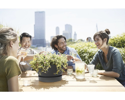 Blumentopf auf einem Tisch mit feiernden Personen und Stadtansicht