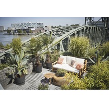 Dachterrasse mit Möbeln und Pflanzen vor einer Brücke