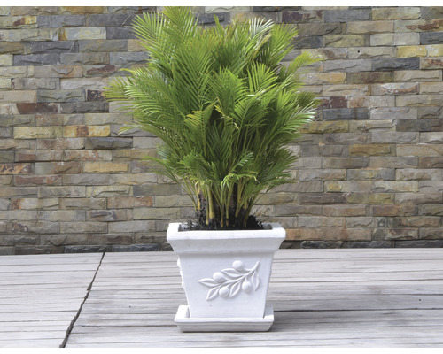 Arecapalme in einem verzierten Blumentopf