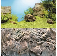 Rückwand Poster JUWEL Pflanzen/Felsen 60x30 cm-thumb-3