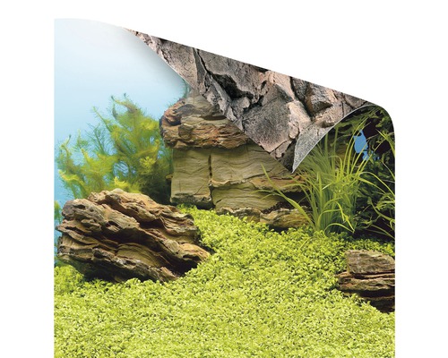 Aquarium Rückwand mit Felsen und Pflanzenmotiv