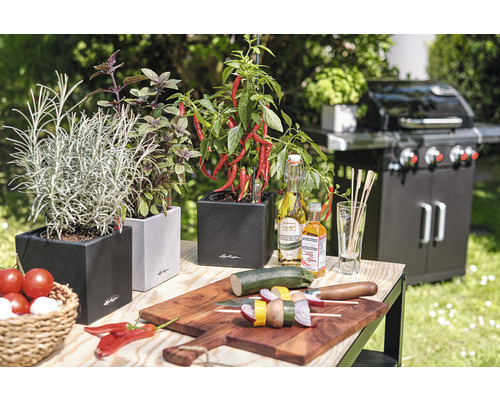 Szene mit Kräutern in Pflanzgefäßen, Grill und Grillgut auf einem Tisch im Freien.