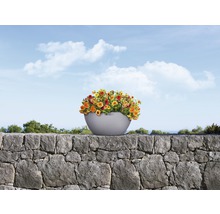 Blumen in Pflanzgefäß auf einer Steinmauer vor blauem Himmel