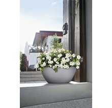 Grauer Pflanzkübel mit weißen Blumen vor einem Haus