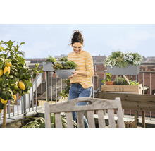 Frau mit Pflanzgefäß auf einem Balkon mit Kräutern, Blumen und Zitronenbaum