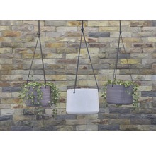 Lafiora Blumenampel Ø 23 cm H 17 cm weiß