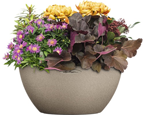 Blumenarrangement in Pflanzgefäß