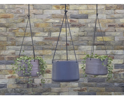 Drei hängende Pflanzgefäße mit Pflanzen vor einer Ziegelwand.