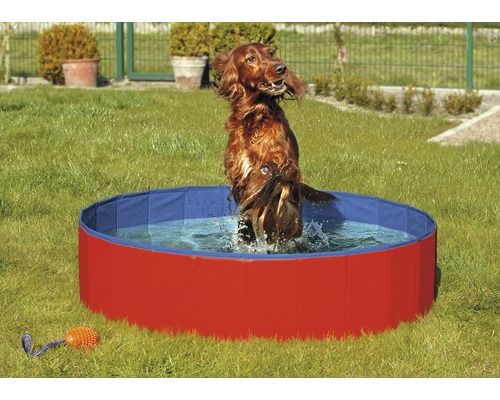 Hundepool Karlie Doggy Pool 120x30 cm rot-blau