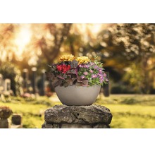 Blumenschale Cubeto Stone Kunststoff 40x40x18 cm sandbeige inkl. Erdbewässerungsystem und Wasserstandsanzeiger