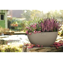 Blumenschale Cubeto Stone Kunststoff 40x40x18 cm sandbeige inkl. Erdbewässerungsystem und Wasserstandsanzeiger