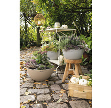 Blumenschale Cubeto Stone Kunststoff 40x40x18 cm sandbeige inkl. Erdbewässerungsystem und Wasserstandsanzeiger