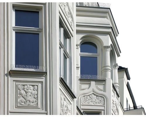 Fassade eines Gebäudes mit Fenster und Vogelabwehrspikes