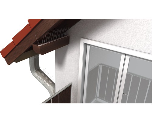 Szene mit Vogelabwehrspitzen an Dachrinne und Dachkante