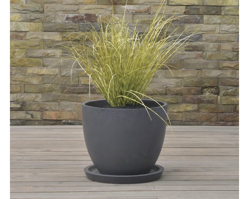 Pflanzgefäß mit Untersetzer und Pflanze