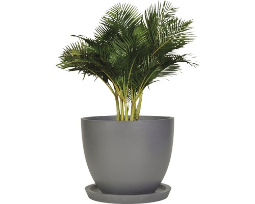 Kunstpflanze Palme im Pflanztopf mit Untersetzer