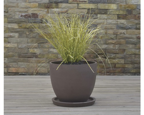 Große Pflanzschale aus Terrazzo mit passendem Untersetzer und Bepflanzung