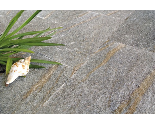 Fliesen aus Naturstein mit Pflanze und Schneckenhaus