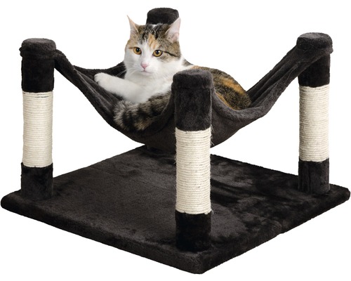 Katze liegt in einer Hängematte auf einem Kratzbaum