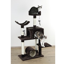 Katzenkratzbaum mit Höhle, Liegeflächen und Spielzeug mit zwei Katzen