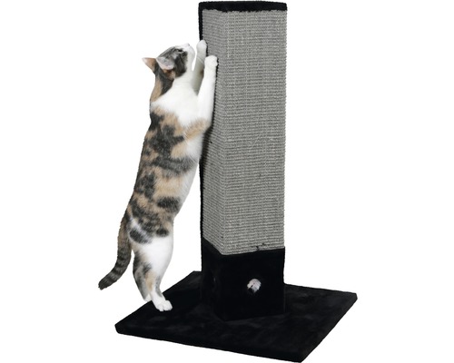 Katze kratzt an einem Kratzbaum.
