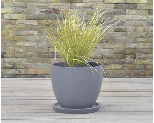 Grauer Pflanztopf mit Pflanze auf einer Holzterrasse vor einer Steinmauer