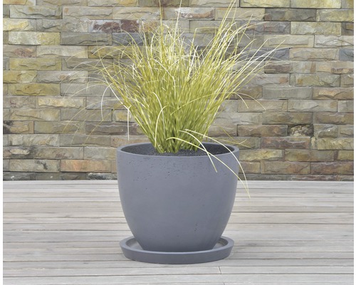 Grauer Pflanztopf aus Beton mit Untersetzer und Ziergras