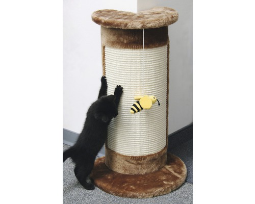 Katze benutzt Kratzbaum mit Spielzeug