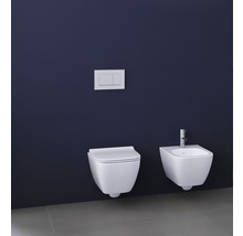 Wandhängendes WC und Bidet mit Spülkastenbetätigung in einem Badezimmer