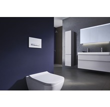 Modernes Badezimmer mit Wand-WC, Betätigungsplatte, Waschtisch und Spiegelschrank