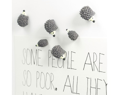 Mehrere Igelmagnete an einer Magnettafel