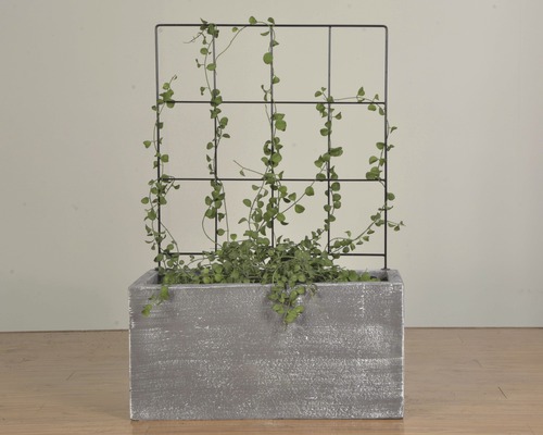 Blumenkasten aus Holz mit Rankhilfe und Pflanze