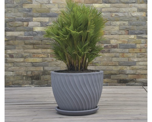 Pflanze in grauem Pflanzgefäß mit Drehdesign auf Terrasse