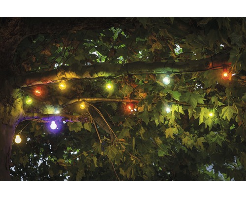 Dekorative Lichterkette mit farbigen Glühbirnen, die an einem Baum befestigt ist.