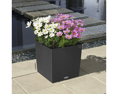 Blumen in einem quadratischen Pflanzgefäß mit Bewässerungssystem