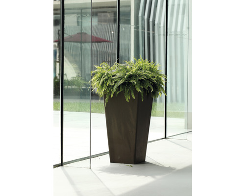 Hochformatiger Pflanzkübel mit Farn vor Glasfassade