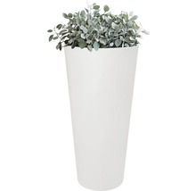 Hoher Blumentopf mit Pflanze